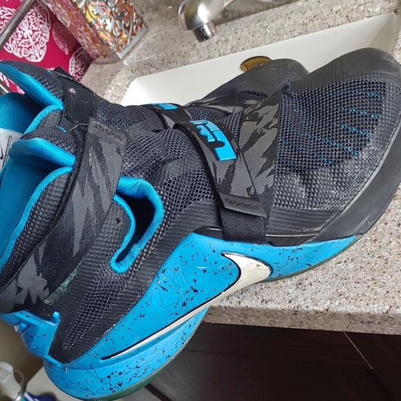 Lebron - Picture 4 of 8